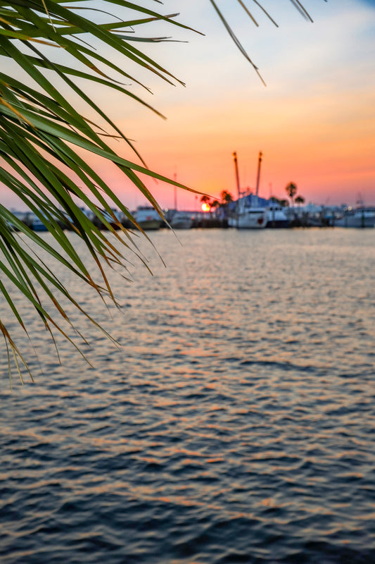 Palm Light at St. Andrews Marina