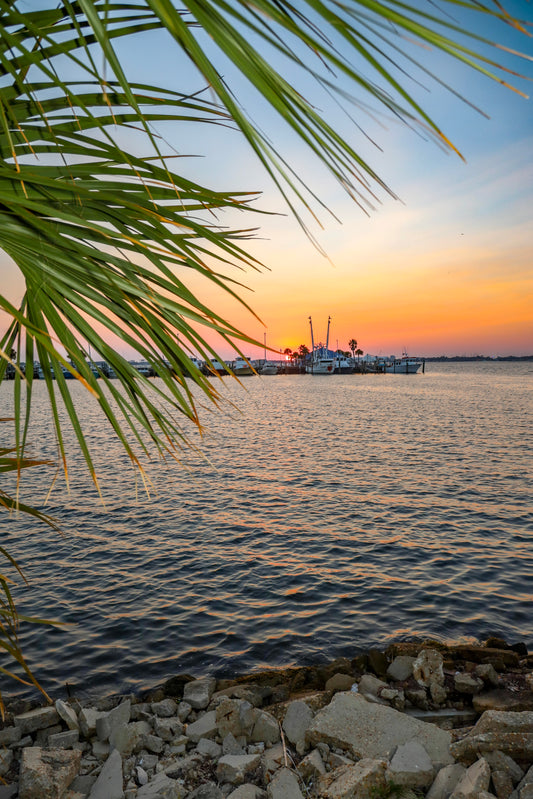 Palm Light at St. Andrews Marina — Wide View