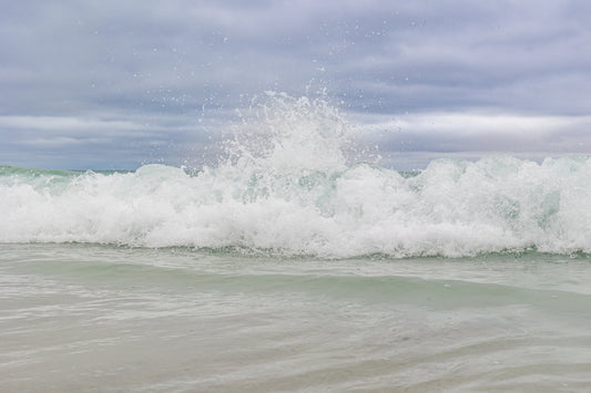 Holding the Line — St. Andrews State Park