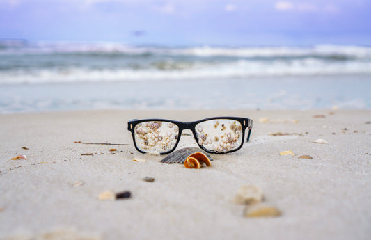 Shells Through the Lens